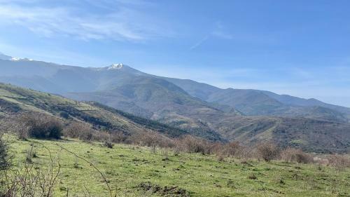 Casa Narcisa Alojamiento Rural