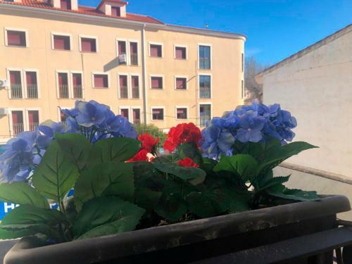 Hostal Home Sancle