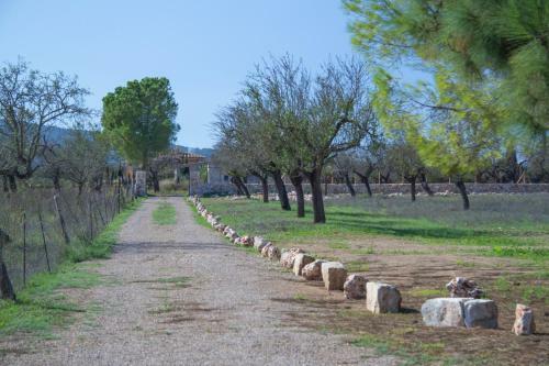 Sa Caseta