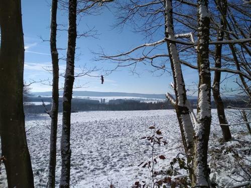 Bed & Breakfast A La Grange D'en Haut