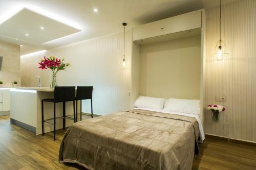 Rent Apartments Salamanca Isidro Segovia