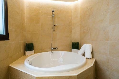 Rent Apartments Salamanca Isidro Segovia
