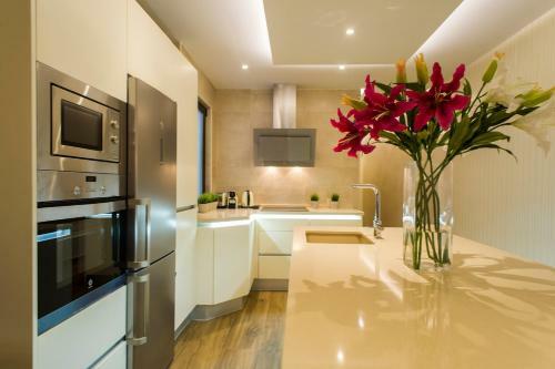Rent Apartments Salamanca Isidro Segovia