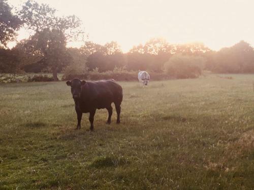 Bed & Breakfast Gasterij Het Marum