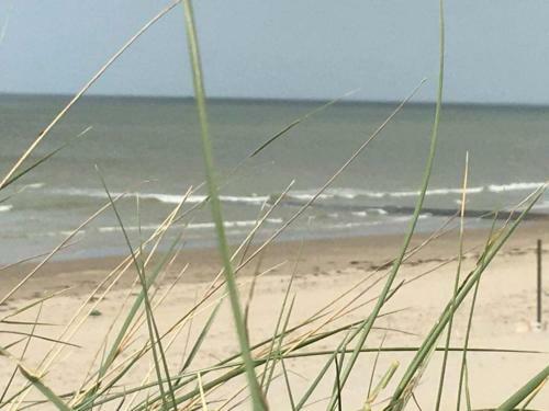 Stacaravan 4pers In Bredene Met Eigen Tuintje 2449