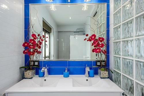 Apartamento Salamanca Frog
