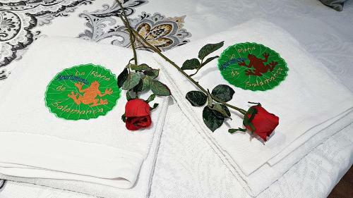 Apartamento Salamanca Frog