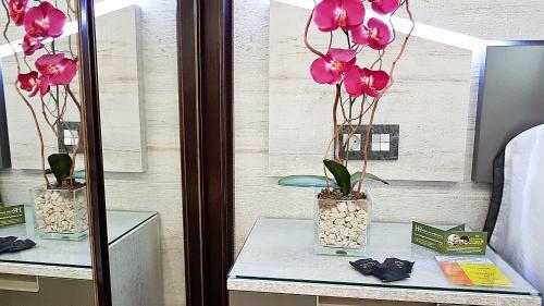 Apartamento Salamanca Frog