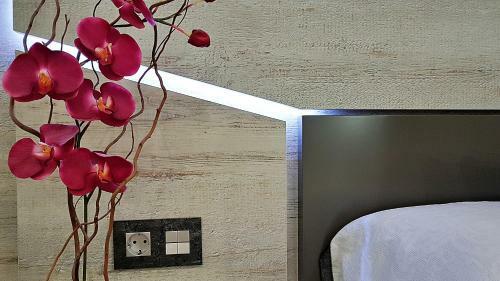 Apartamento Salamanca Frog
