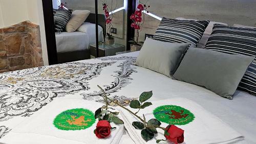 Apartamento Salamanca Frog