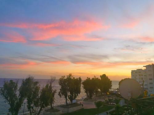 Beachfront Suites - Best Location Peaceful Green Place