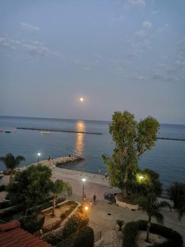 Beachfront Suites - Best Location Peaceful Green Place