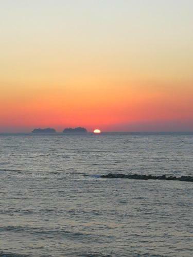 Beachfront Suites - Best Location Peaceful Green Place