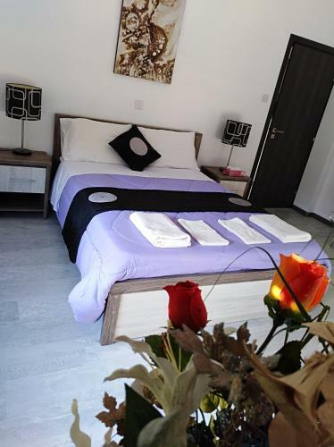 Andros Residence