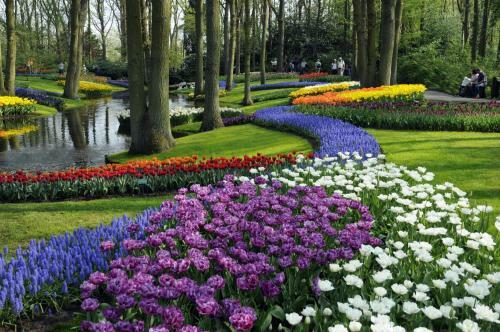 Recreatiecentrum Koningshof