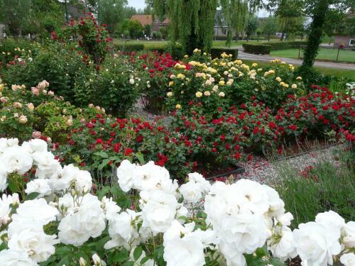 Bed & Breakfast De Boomgaard Groene Hart