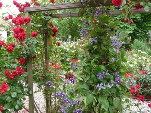 Bed & Breakfast De Boomgaard Groene Hart