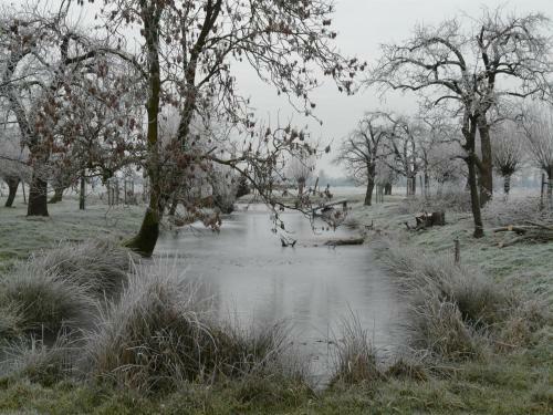 Bed & Breakfast De Boomgaard Groene Hart