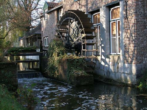 B&B Ferme Knaapen