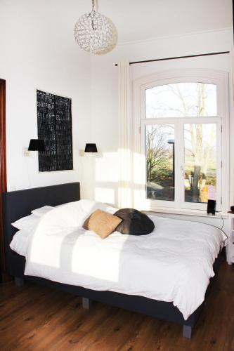 Bed & Breakfast Staatsie 1866