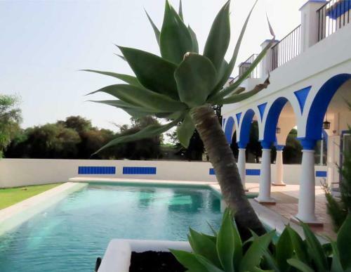 Villa De Lujo En Sancti Petri