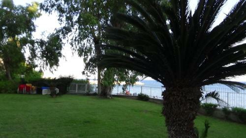 Apartamento Lordos Sea Front-private Flat On The Beach