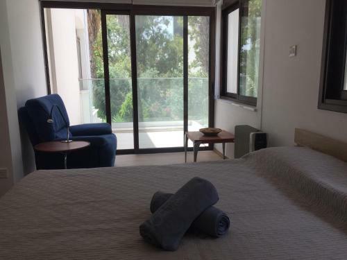 Modern 2 Bedroom Beach Apartment