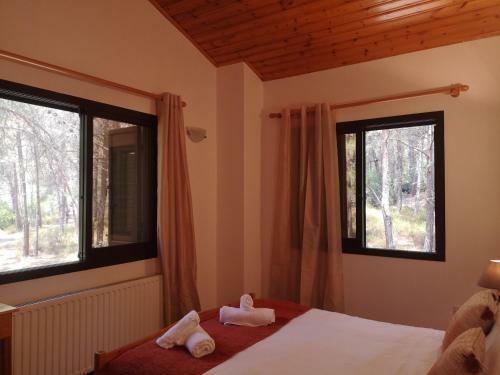 Villa Stella Paradise