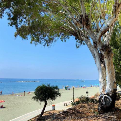 Amathus Luxury Holiday Apartment