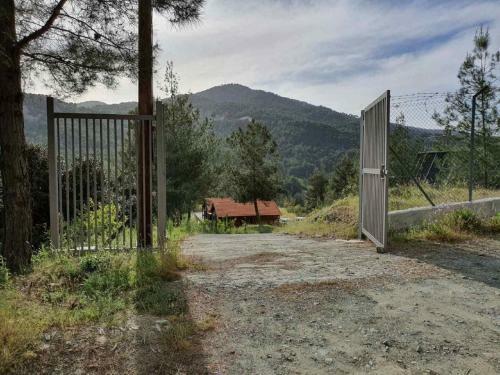 The Cosy Mountain Cabin With Stunning Views In Kardama Forest