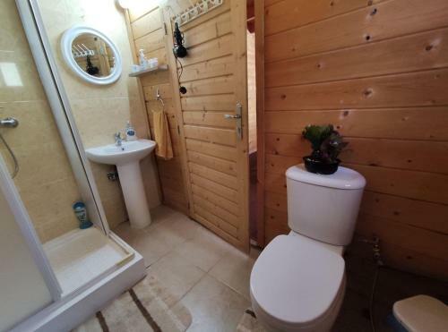 The Cosy Mountain Cabin With Stunning Views In Kardama Forest