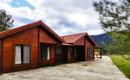 The Cosy Mountain Cabin With Stunning Views In Kardama Forest
