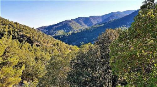 The Cosy Mountain Cabin With Stunning Views In Kardama Forest