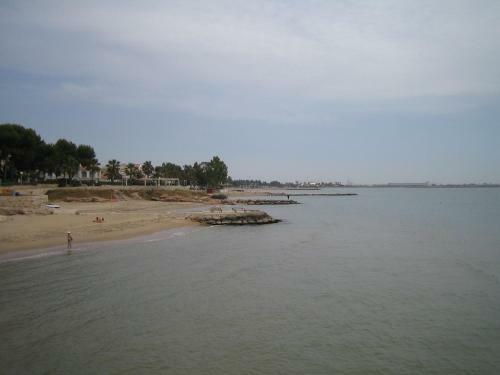 Apartamento Appartement Exceptionnel Confortable Bord De Mer