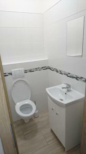 Bungalov Bozkov, Bozkov 307