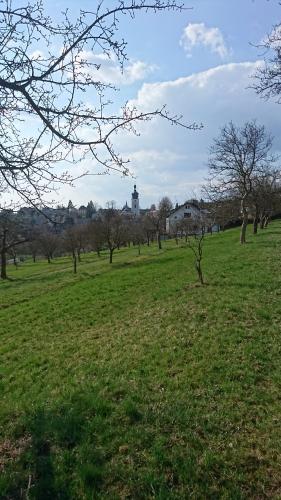 Bungalov Bozkov, Bozkov 307