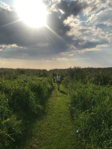Suurkivi Nature Escape
