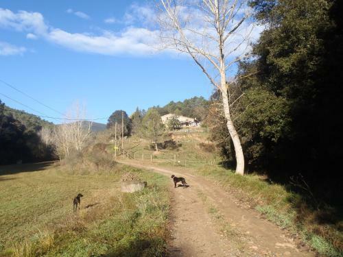 Apartamento Can Parr�quia
