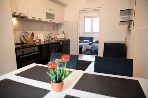 Apartment ?ozi?
