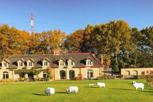 Gastenhuis Prachtige Historische Vierkant Hoeve