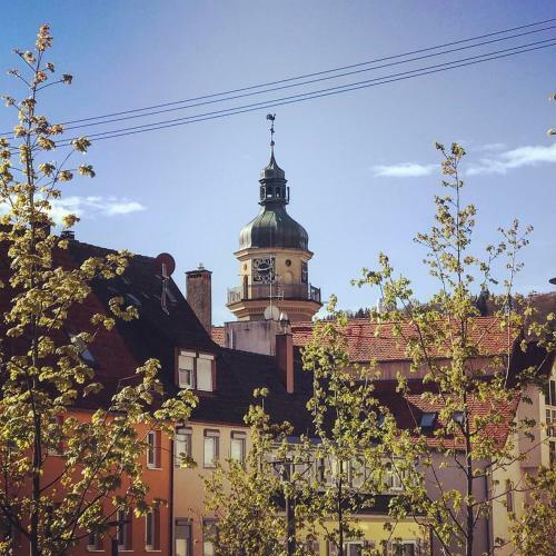 Albstadt Apartments