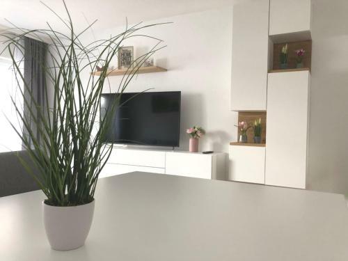 Apartamento Zollernalb-apartment G6