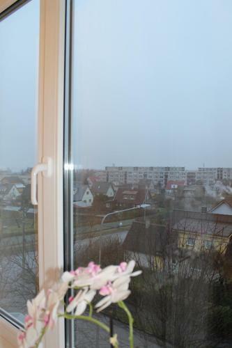 Niine Apartment