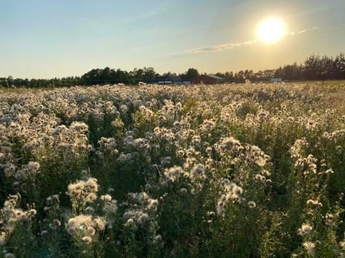 Bed & Breakfast Billund-bnb Aps