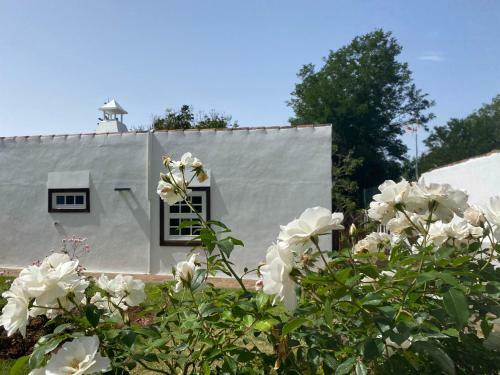 Finca La Estufa