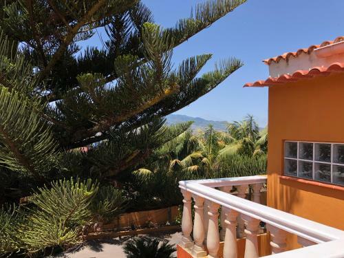 Apartamento En La Laguna