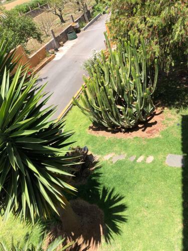 Apartamento En La Laguna
