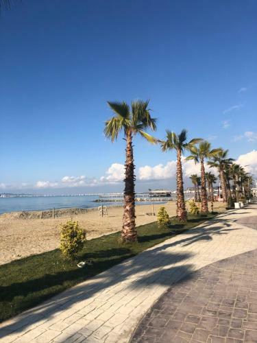 Gazi?s Apartament For Rent