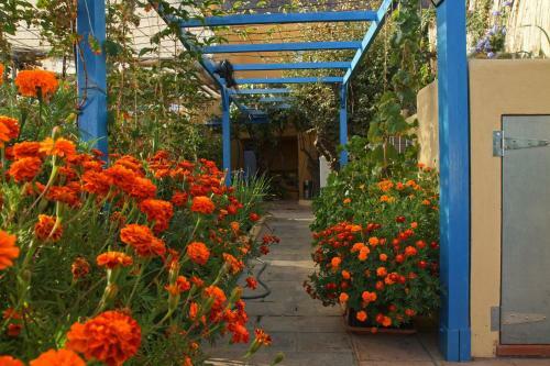 Apartamento Finca Cortez