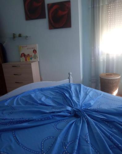 Tana's Apartment